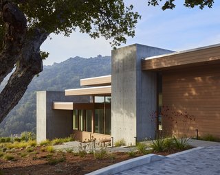 Vertical cast-in-place concrete walls break up the building's horizontal forms.