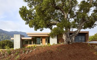 Set between massive oak trees, the home was sensitively placed to minimize site impact.