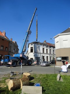 The nearly 40-foot-long oak tree trunk was craned into place through the roof.