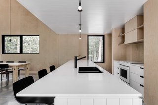 The kitchen countertops are quartz and the cabinets and backsplashes were constructed from Baltic birch.