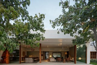 An east-facing view of the open-plan living and dining area.