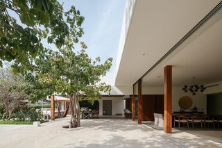 "A three-foot platform raises the main floor level from the ground, protecting the house against recurring floods," explains the firm. "This difference of level between the interior and exterior was used to create sloped gardens that work as thermal buffer zones."