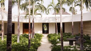Populated by palms, the circular garden occupies the heart of the home.