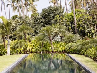 The pool abuts a lush, tropical environment. The lot is nearly three acres in size.