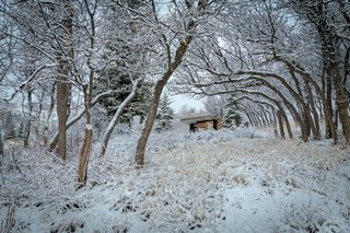 Uphill is a freestanding tool "shed" with a cozy office that serves as a quiet getaway when there are too many guests at home. The south wall of the building serves as wood storage.