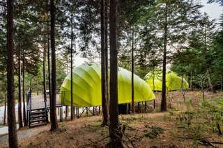 The terraces help to "strengthen the feeling among guests that they are immersed in nature."