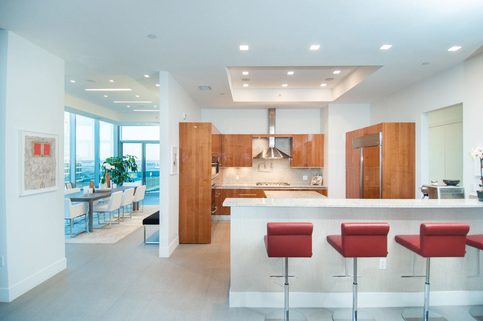 Photo 3 of 5 in An Inspiring Penthouse Residence in Arlington, Virginia