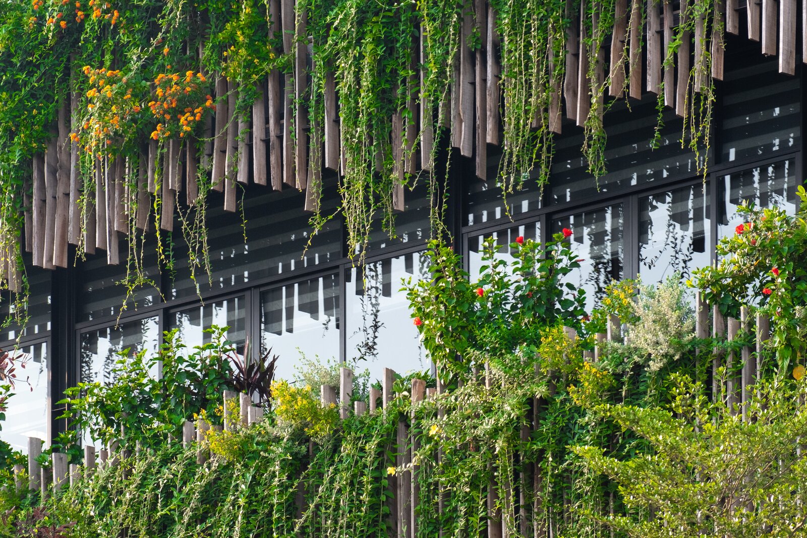Photo 20 Of 45 In Trung Nguy n Garden By HGAA Dwell photo-20-of-45-in-trung-nguy-n-garden-by-hgaa-dwell
