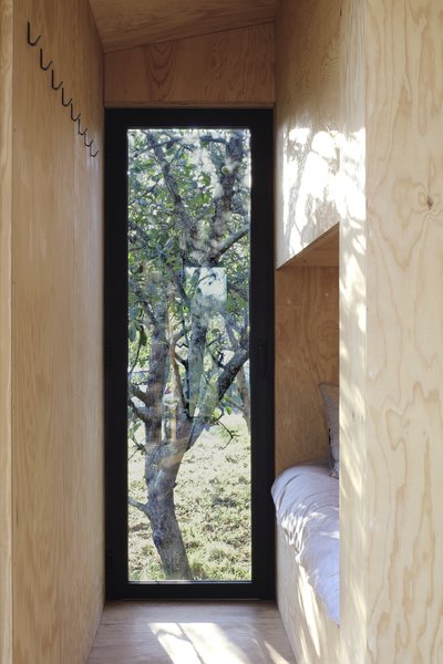 Best 60 Modern Windows Design Photos And Ideas Dwell Filter