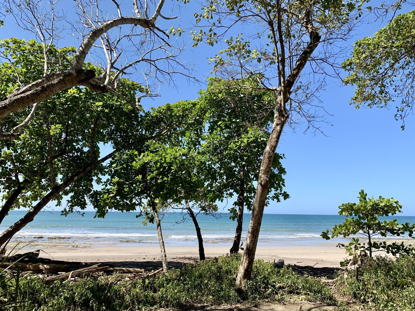 Photo 5 of 5 in Spectacular Manzanillo Beachfront by 2Costa Rica Real