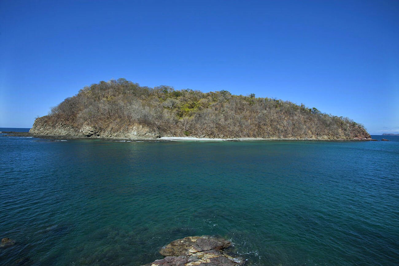 Prestigious Flamingo Estate (6 Photos) - Dwell