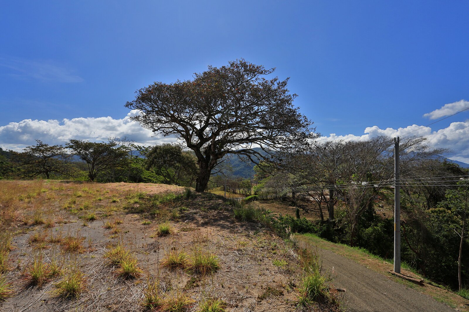 Photo 14 of 42 in Pristine land for development opportunity by 2Costa