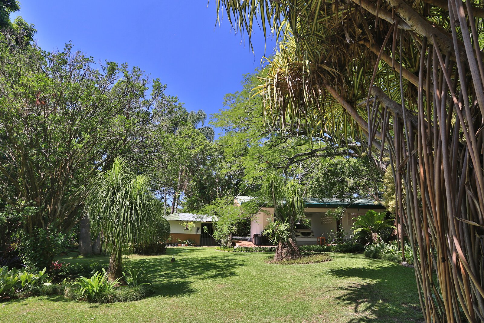 Photo 10 of 51 in Botanic Garden Estate by 2Costa Rica Real Estate Dwell