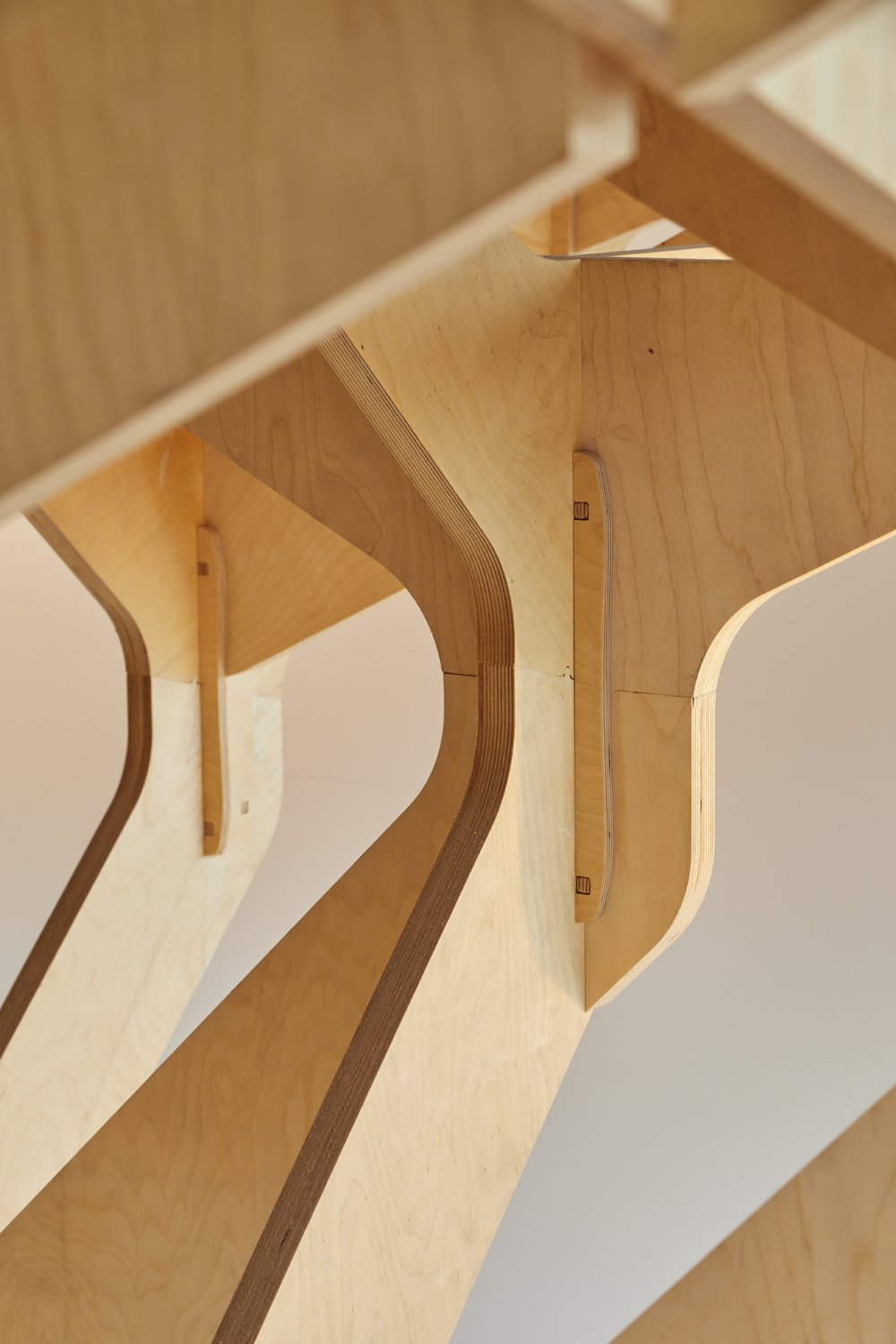 Interlocking Trees Photo 10 of 11 in Interlocking Trees Support the Roof of This South ...