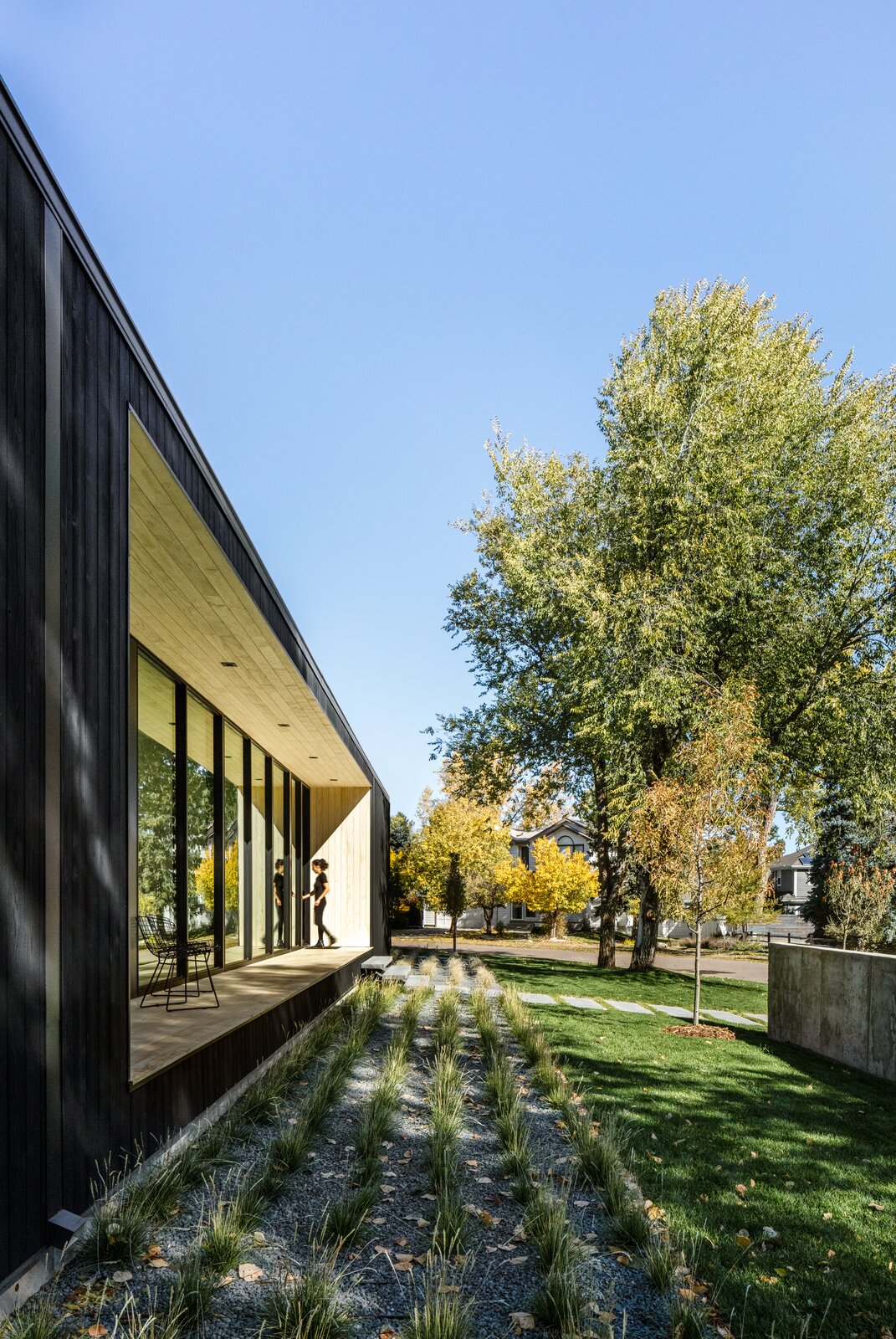 Photo 4 of 14 in An Artfully Crafted Boulder Home Glows From Within a Charcoal Exterior from