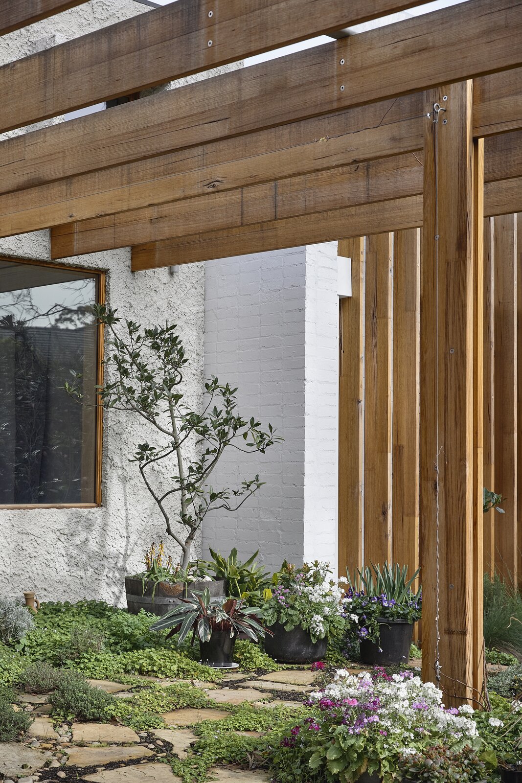 Photo 5 of 24 in Exposed Rafters Bridge This Australian Home With Its ...