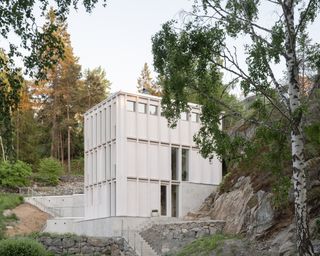Why Does This Swedish Home Look So Crisp? The Wood Cladding Doesn’t Have Any Knots