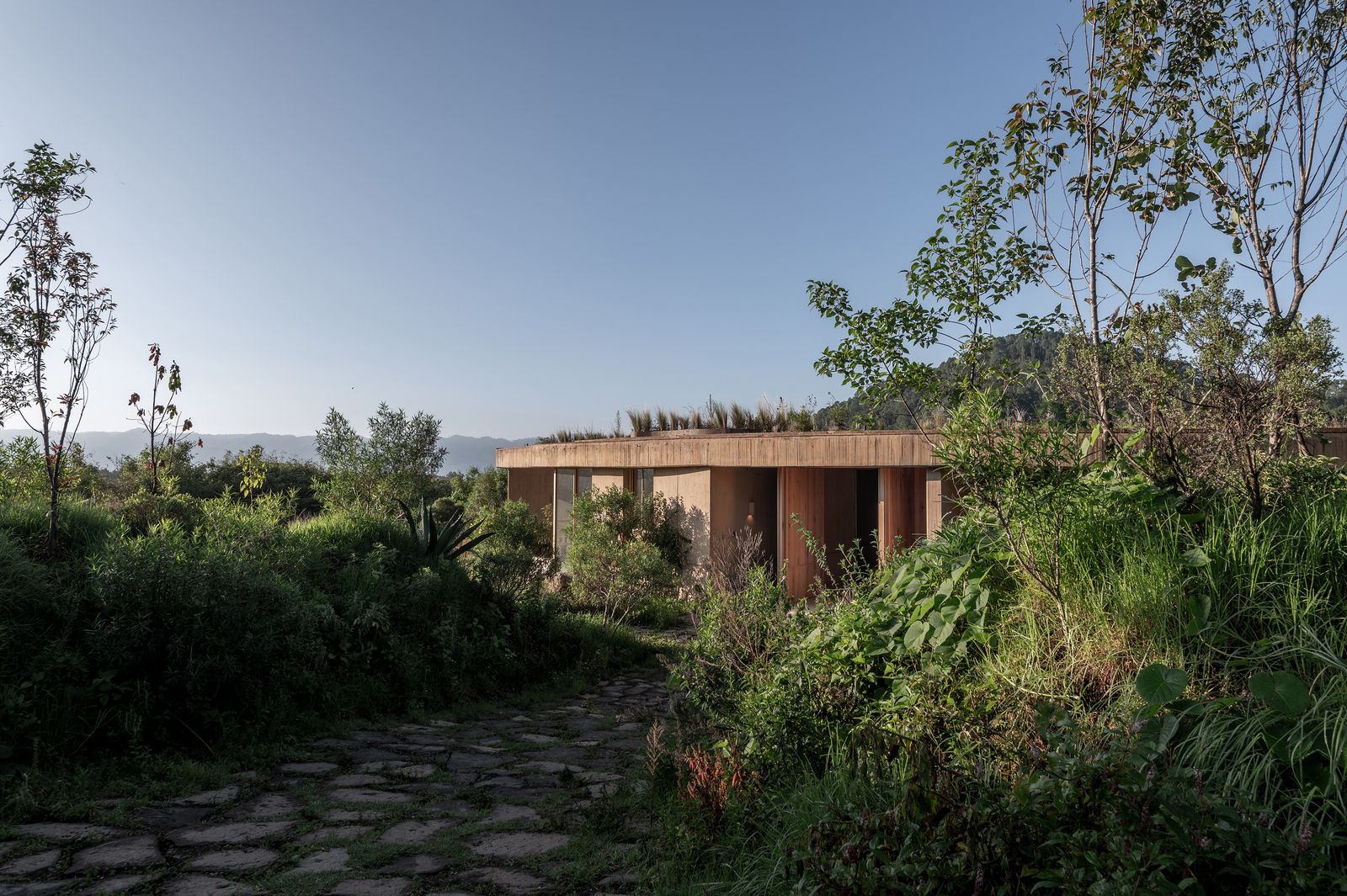 Photo 6 of 21 in If the Views From Inside This Off-Grid Home in Mexico ...