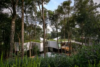This 5,382-Square-Foot Home in Brazil Weaves Through the Forest on a Network of Piles