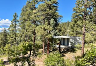In Colorado, $1.8M Will Get You a Tiny House on a Massive 35-Acre Lot