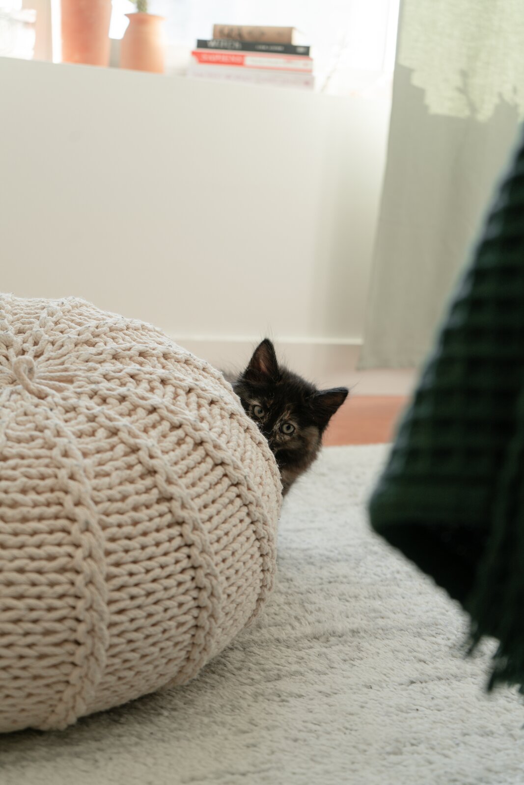 Image showcasing 21 Scandi Living Room Ideas That Are Calming and Cozy