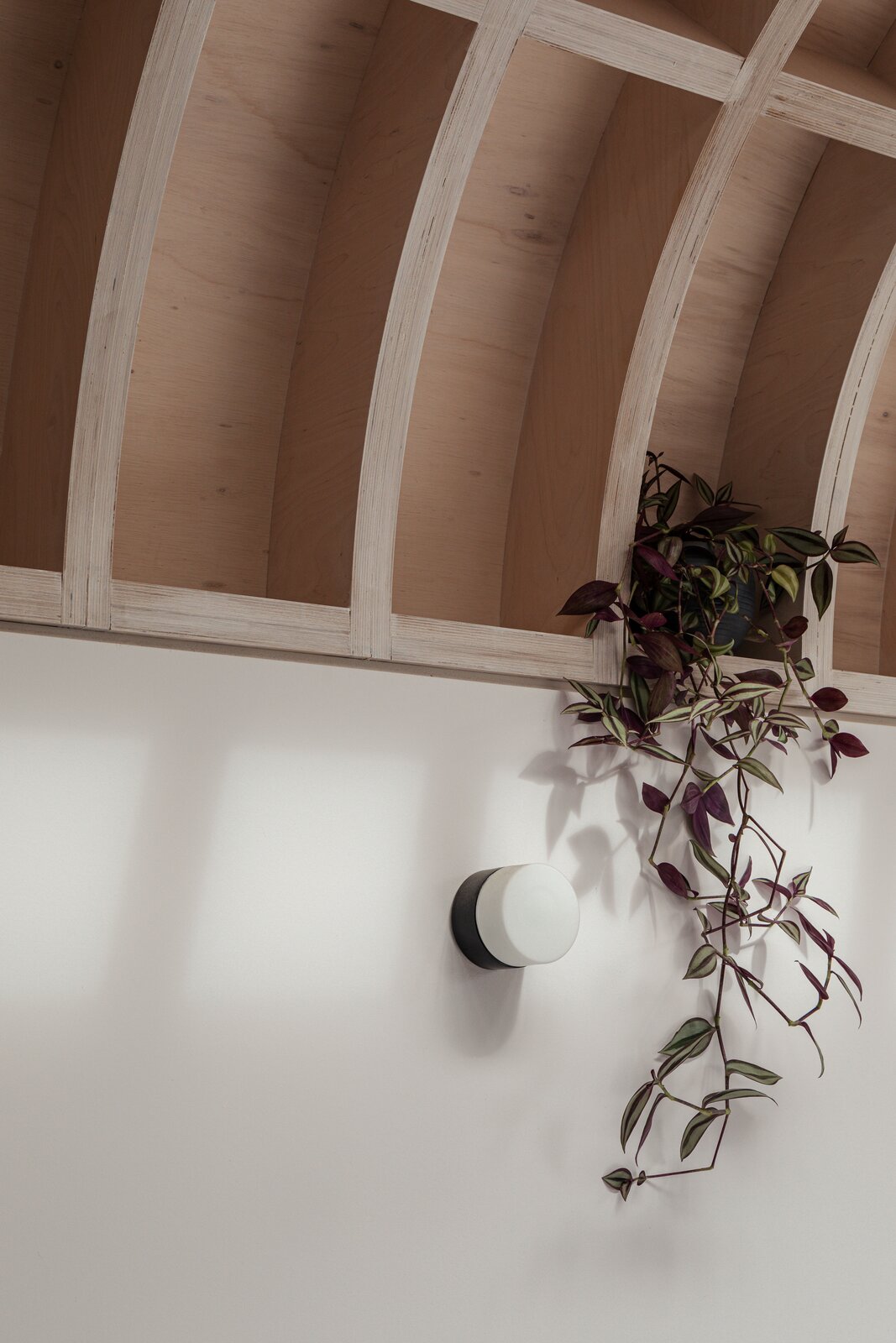 Photo 7 of 12 in A Buoyant, ArkLike Addition Brings a Sea Change to a