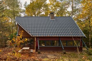 A Dutch Family’s Renovated A-Frame Cabin Doubles as a "Bat Hotel"